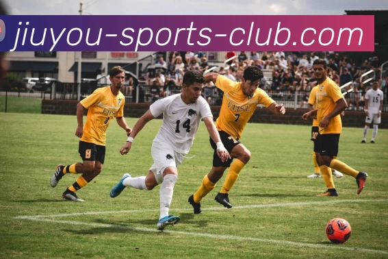 九游娱乐APP 高清赛事图